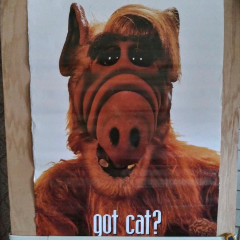 POSTER :TV: ALF - ALF GOT CAT ?  Aquarius Poster  #24-099   Vintage RARE